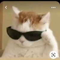 оригінальний звук