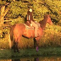 cowgirlskye