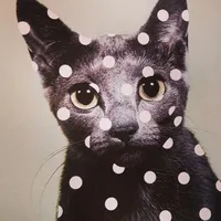 original sound - .axerli