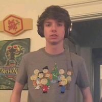 karlspaperthinpillow