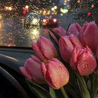 gulcicek_638
