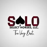 original sound - soloselecthorses