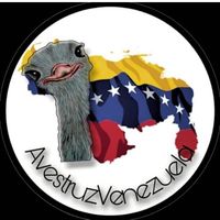 avestruzvzla