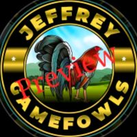 jeffrey_gamefowls