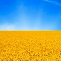 оригінальний звук