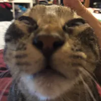 original sound - _amazing.art_