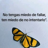 evidiaz02
