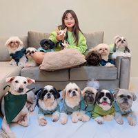 original sound - SHANG POOCHES ONLINE SHOP