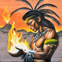 nemograff