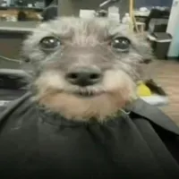 Prayed for days like this