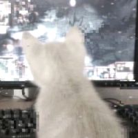 оригинальный звук