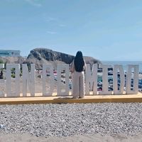 camiyover