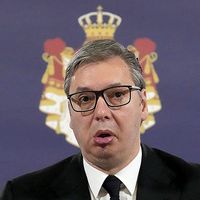 sns_mafija