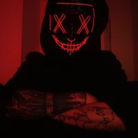 theveiledshadow