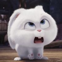 nntkdpss