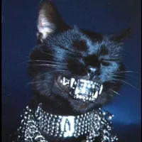 Dc Headswollen big Gangsta