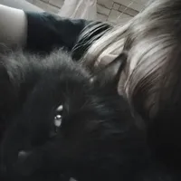 original sound - neophytel