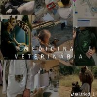 ferreiraysabelly