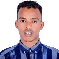 wllcarab99