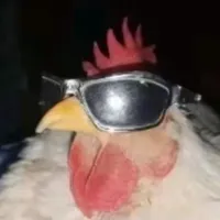 I can hear u just fine
