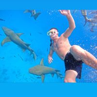 aveamgabrielionut4568