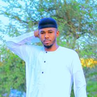 hajo.lbrahim249