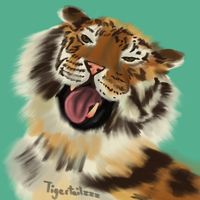 tigertailzzz