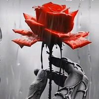 pensamentosdiarios33