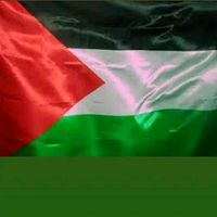 ahmed.mohamed.ali8