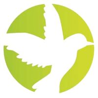 flight_protectingbirds