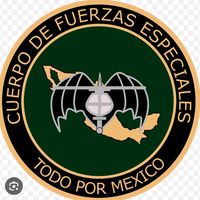 infanteria1mexico_gafes