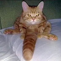 original sound - ivyk444