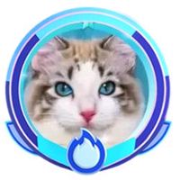 yuki_tiktok_creator