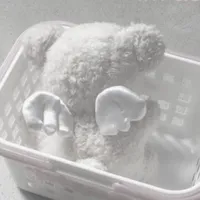 original sound - asl.xd