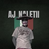 aj.naletii