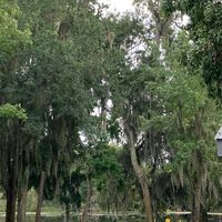 original sound - ✭xwnt.v✭