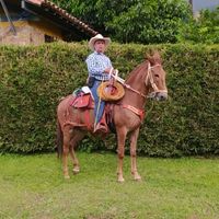 jorgealzate01