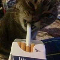 оригинальный звук