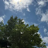 original sound - jacalmusic