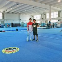 wushu_kungfu.bol