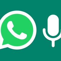 audios.whatsapp999