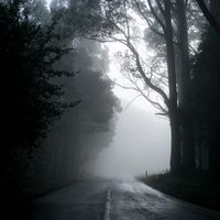 darkvids_edit
