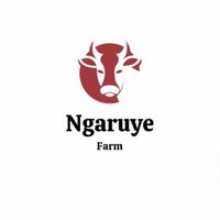 ngaruyefarm
