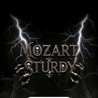 mozartsturdy5