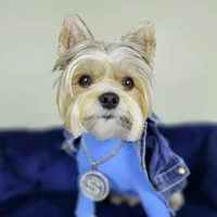 original sound - mrthunderwink_1