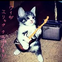 original sound - Suki