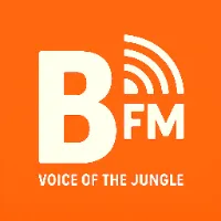 original sound - bedsiter.fm