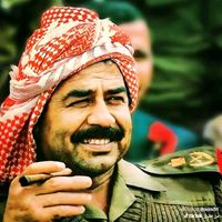 الصوت الأصلي