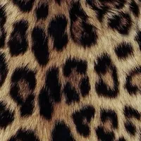 original sound - floxxfoxx