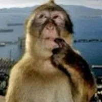 original sound - moninaaa0